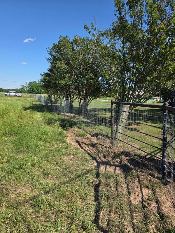 Custom Fence Design