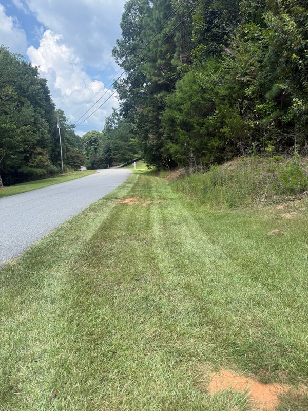 Lawn Maintenance