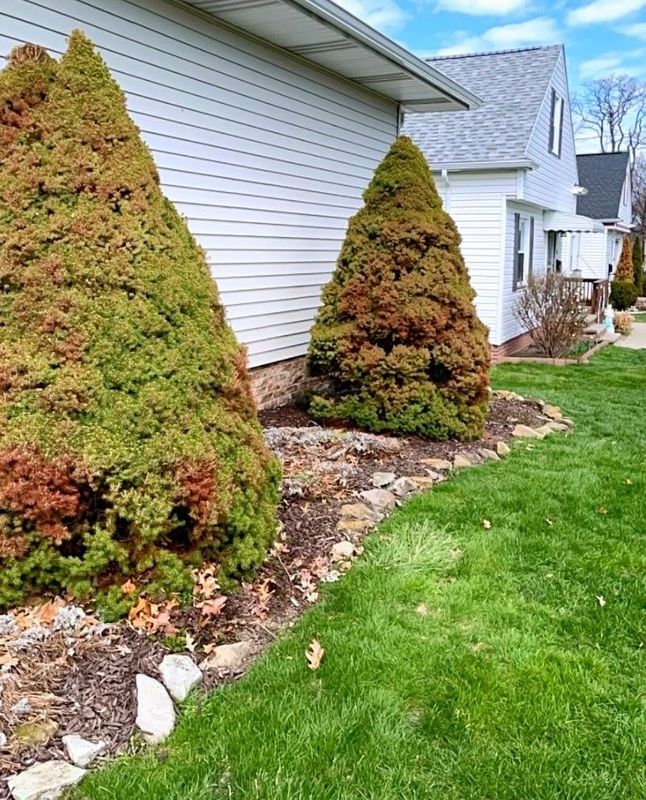 Custom Hardscapes