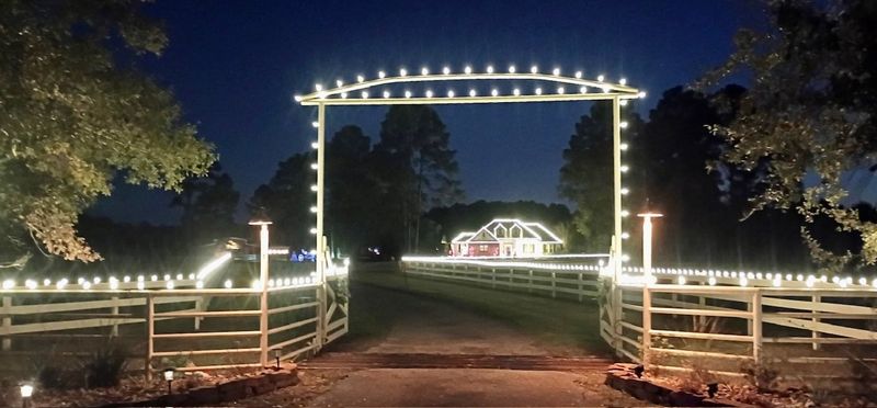Landscape Lighting