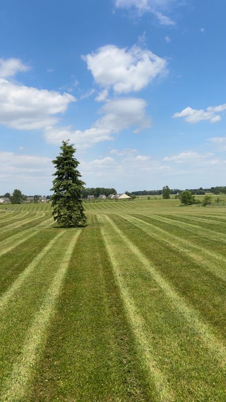 Lawn Maintenance
