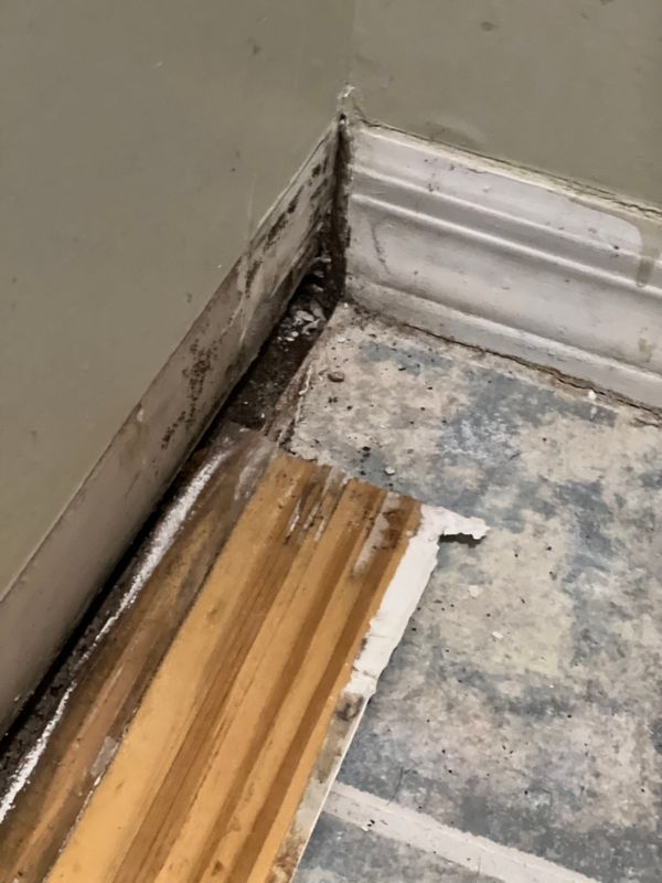 Mold Remediation gallery