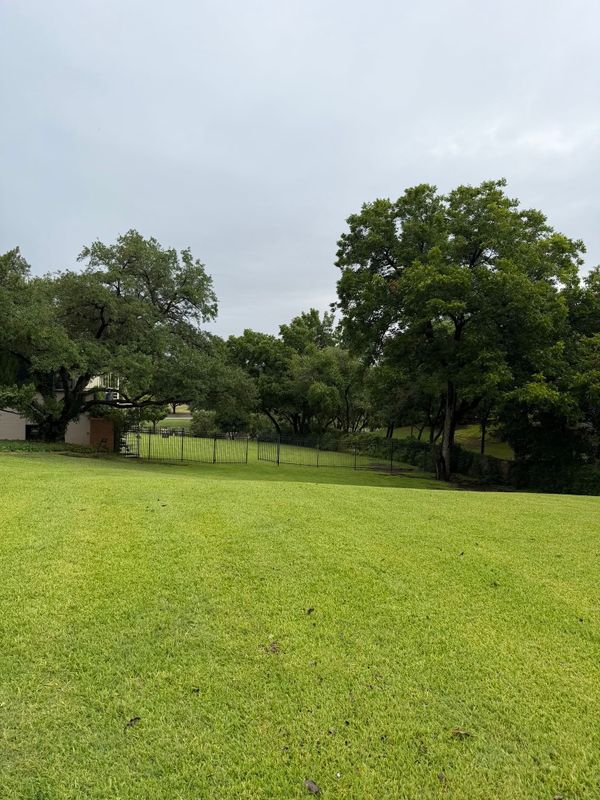 Lawn Maintenance