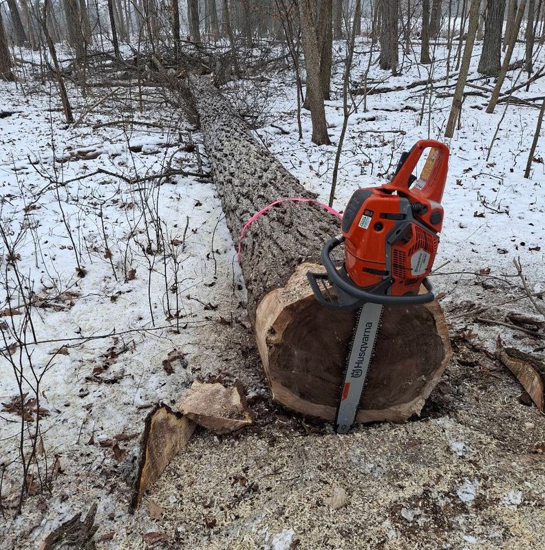 Timber Management