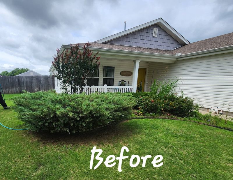 Tree and Shrub Care