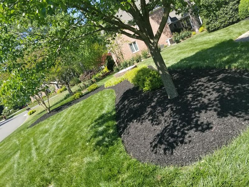 Landscaping