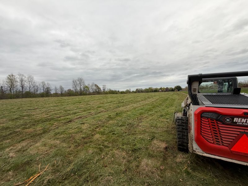 Brush Cutting