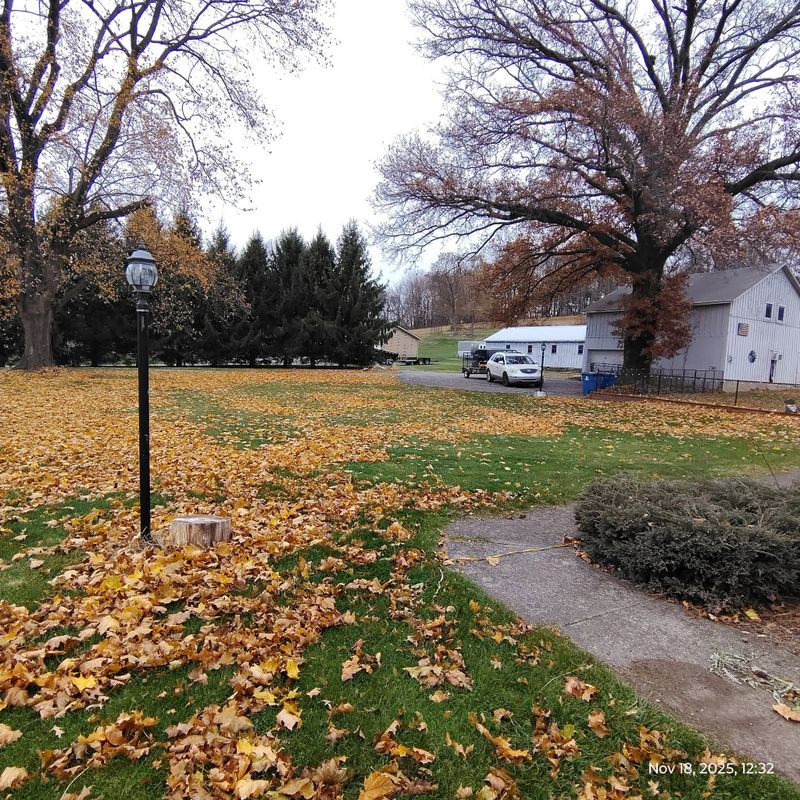 Seasonal Clean-ups