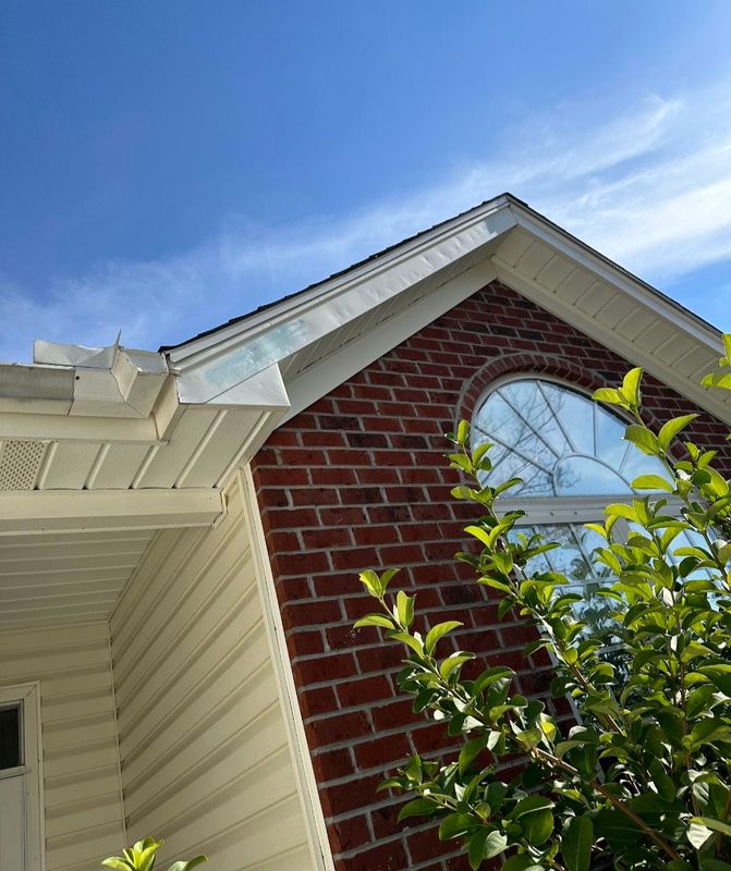 Fascia Repair