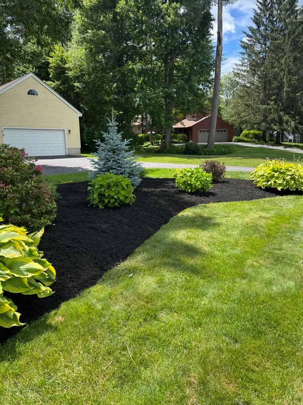 Lawn Maintenance