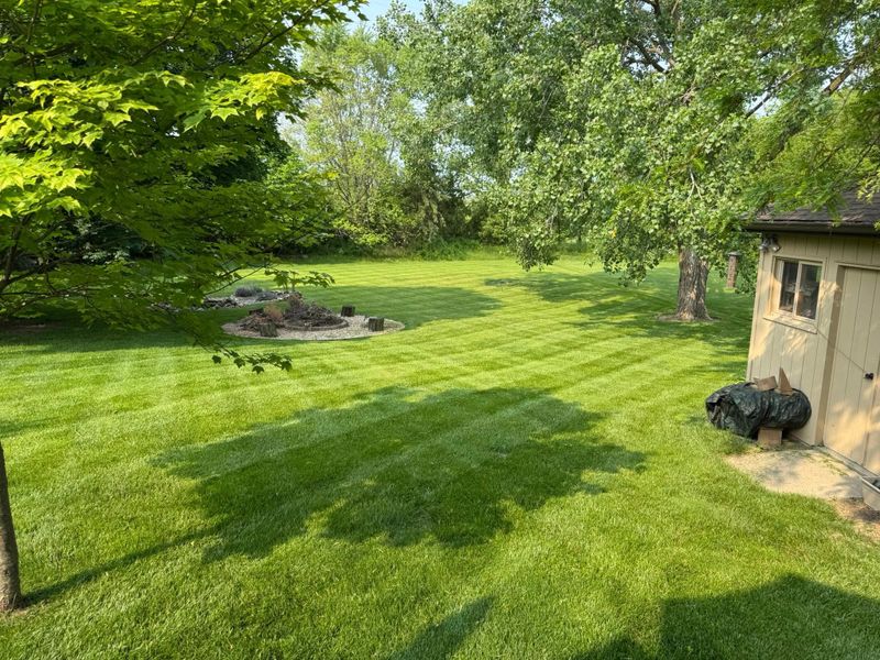 Lawn Mowing
