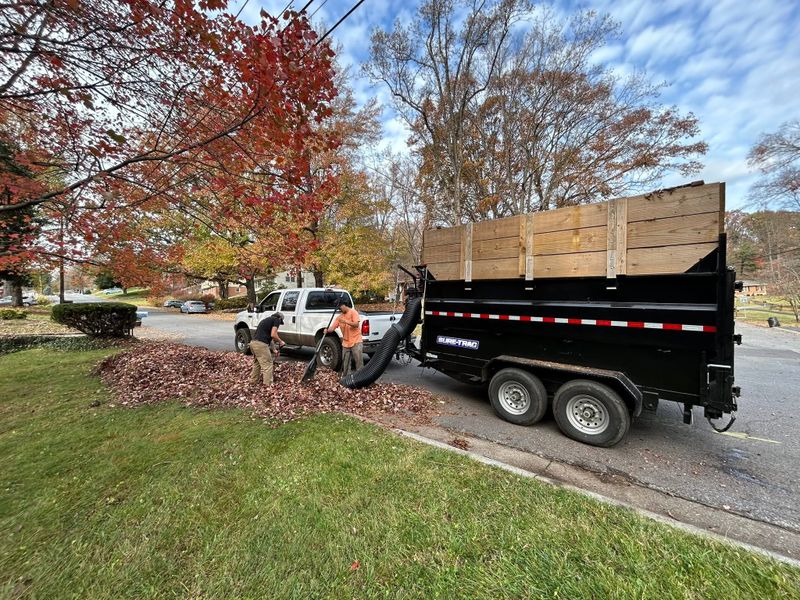 Debris Removal