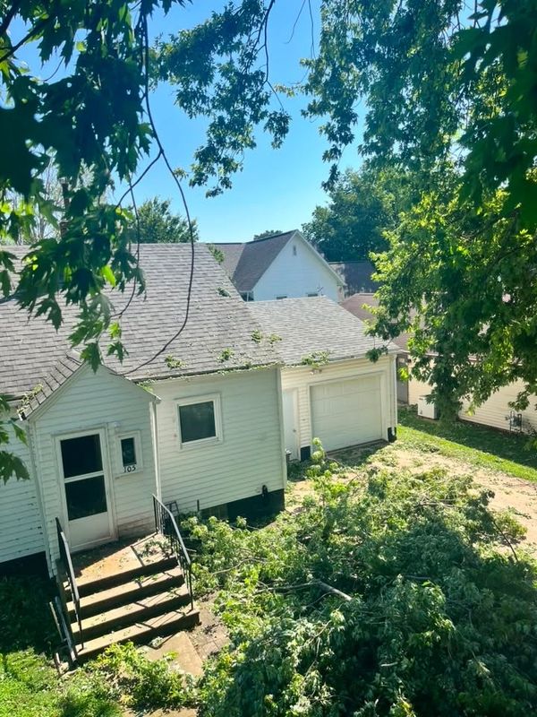 Tree Removal