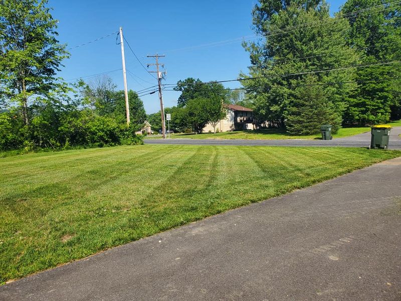 Lawn Care