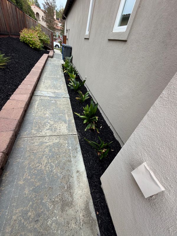 Landscaping