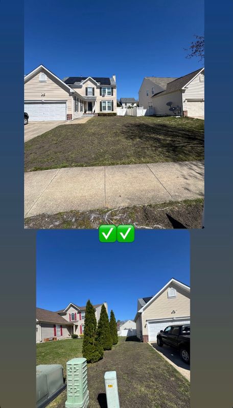 Aeration, Dethatching, Over-seeding