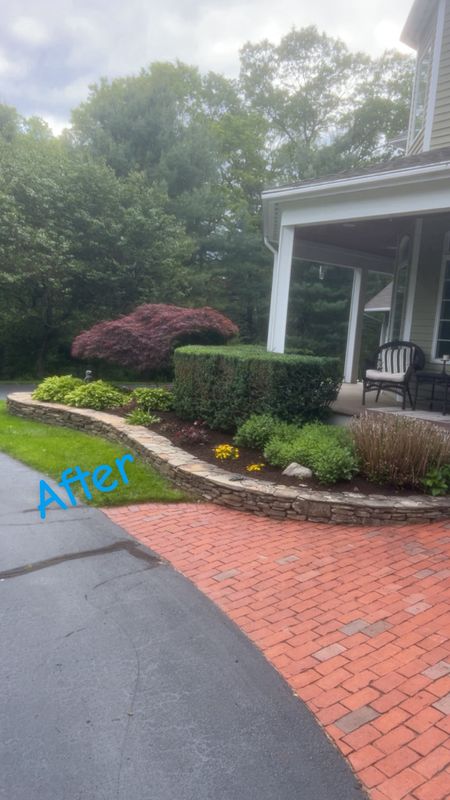 Shrub Trimming