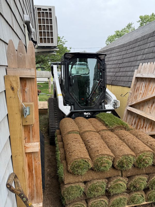 Lawn and Yard Renovation