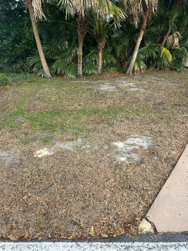 Lawn Care and Maintenance