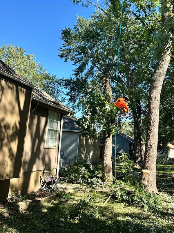 Fall Clean Up