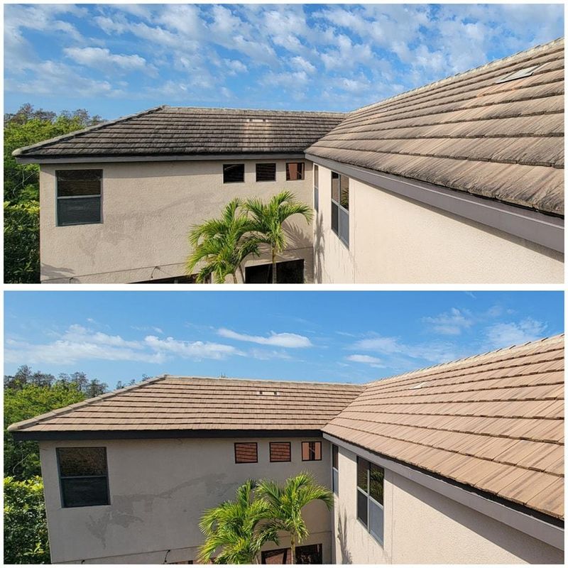 Roof Cleaning