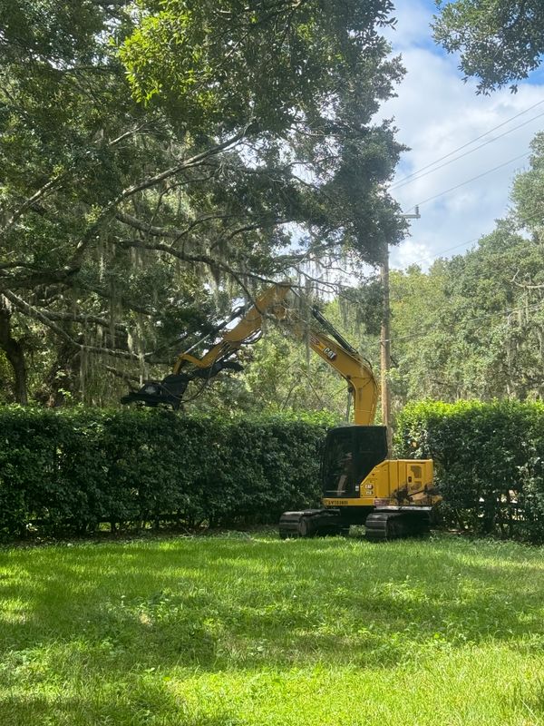 Land Clearing