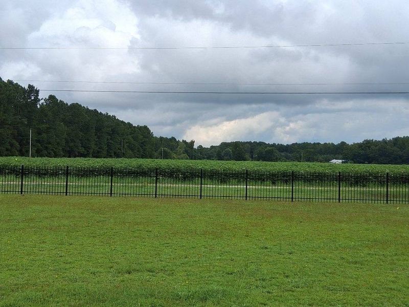 Fence Installation
