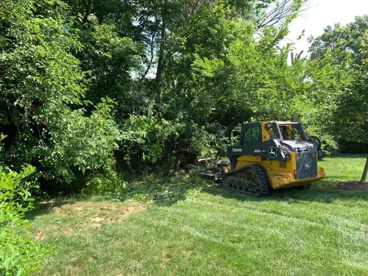 Land Clearing
