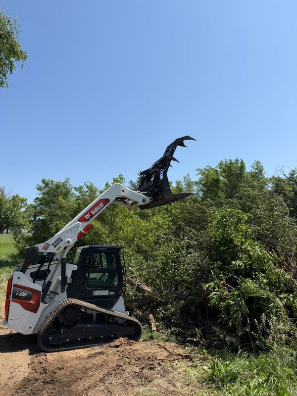 Pasture Clearing