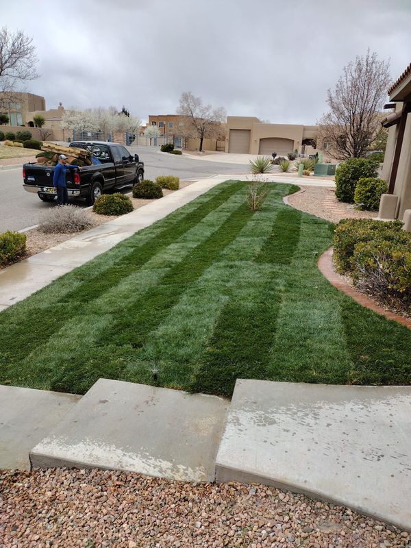 Sod Installation