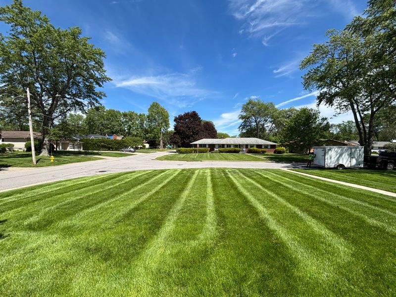 Lawn Maintenance