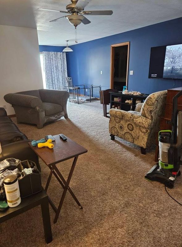 Carpet Cleaning