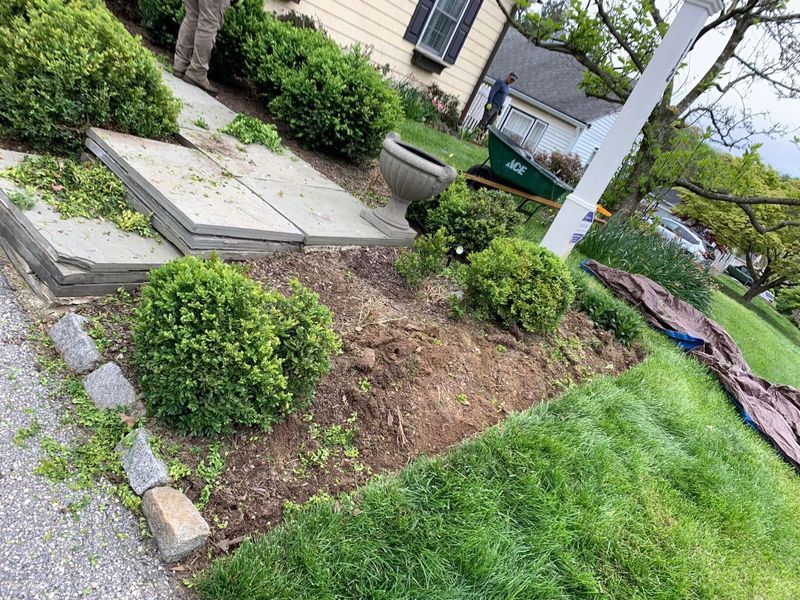 Hedge Trimming