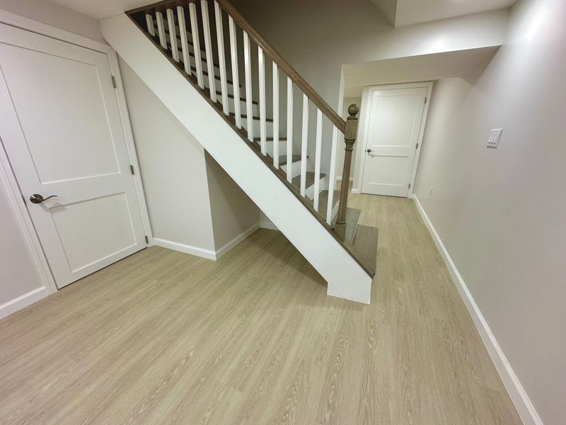 Basement Renovation