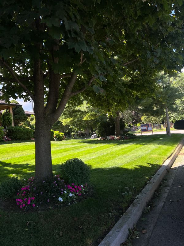 Lush Lawn Perfection: Clover Creek's Exceptional Landscaping Transformation