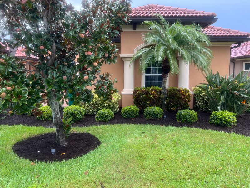 Mulch Installation
