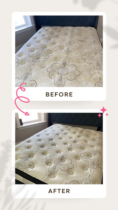 Upholstery Cleaning