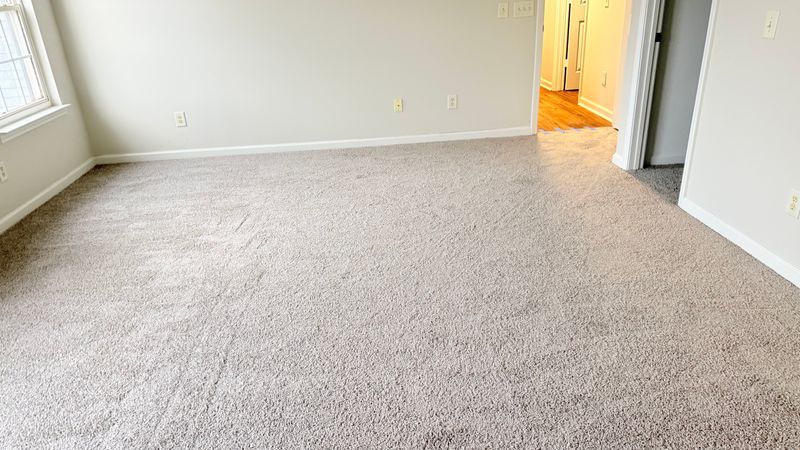 Carpet Installation and Repair
