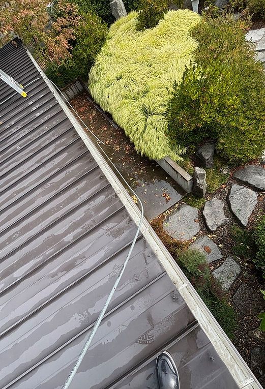 Gutter Cleaning