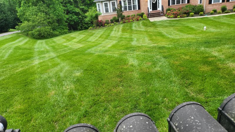 Grass Mowing