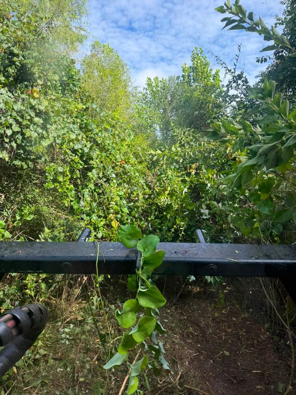 Land Clearing