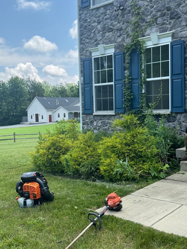 Shrub Trimming