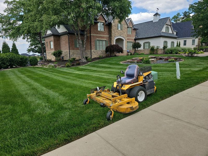 Lawn Maintenance