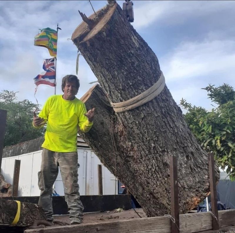 Tree Services