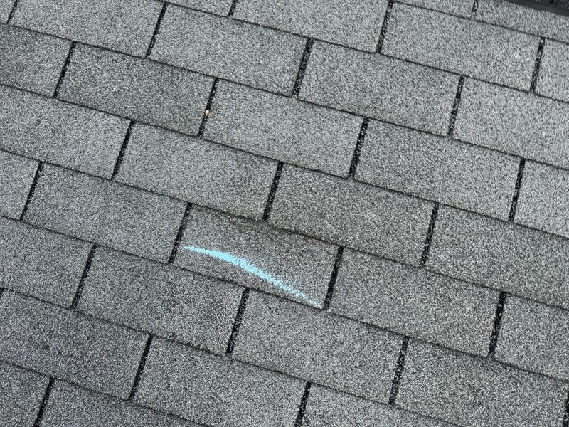 Roofing Consultations