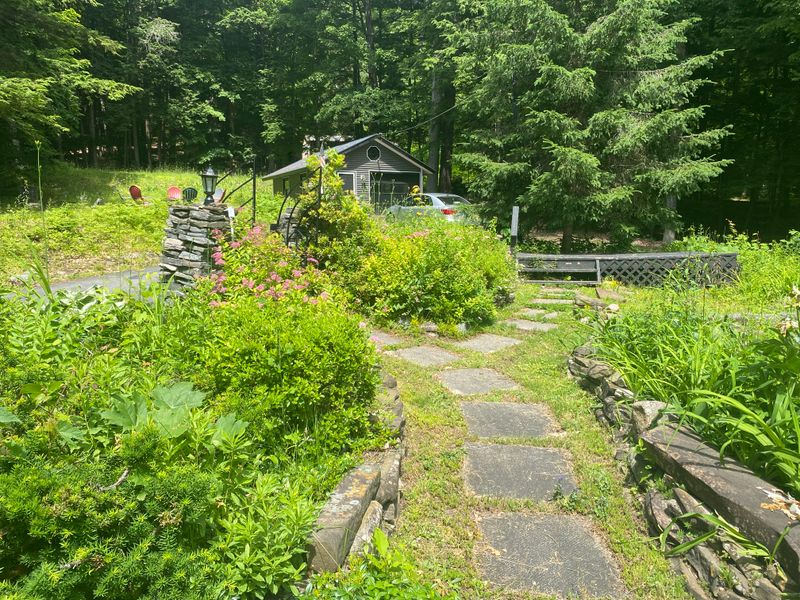 Landscape Design