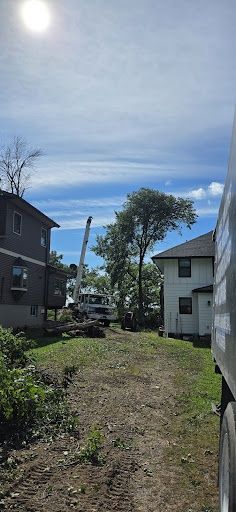 Tree Removal