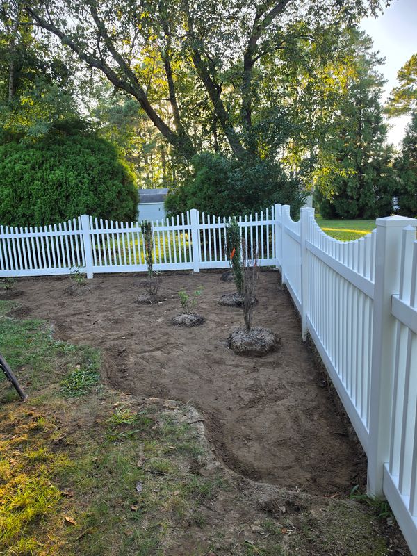 Tree & Shrub Care
