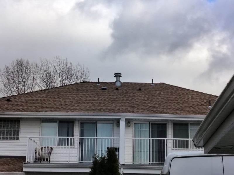 Shingle Roofing