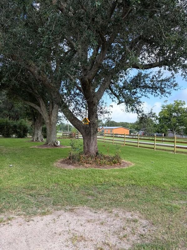 Lawn Maintenance